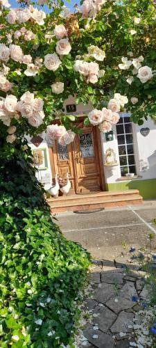 Wohnen & Schlafen im Cottage in Kalsdorf Bei Graz