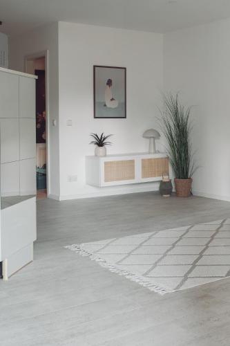 Helles, modernes Apartment, Balkon, Fahrstuhl, 2P, Chemnitz (Foto 4)