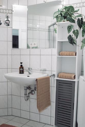 Helles, modernes Apartment, Balkon, Fahrstuhl, 2P, Chemnitz (Foto 5)