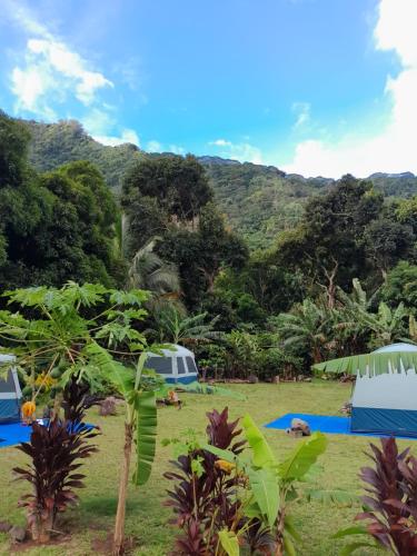 Ravehei smile relais 2 moorea in جزيرة  موريا