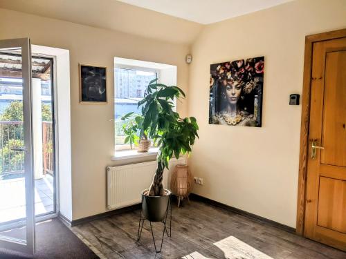 Guest House Kamara