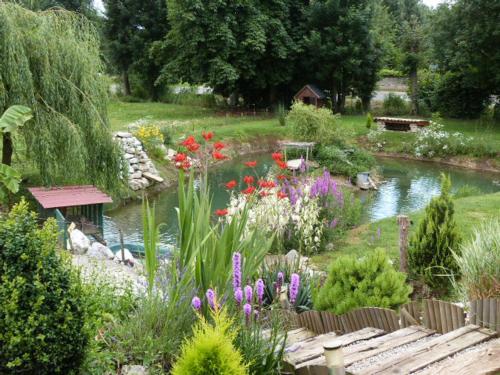 Le Bocard, Thonnance-lès-Joinville (foto 6)