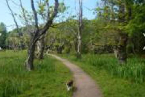 Caravan - Sleeps 4 - Pet friendly - Parking, Newton Stewart (zdjęcie 4)