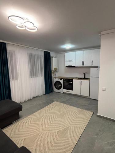 Cozy Apartment Mureseni