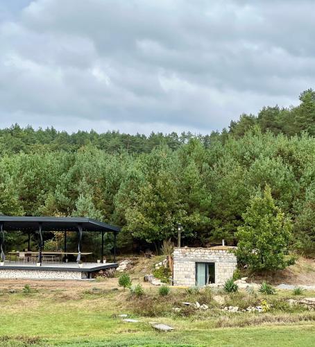 Family comfort in Zolochiv