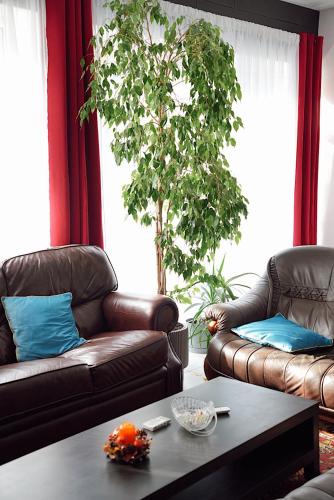 GP Hostel – Šiauliai, TX