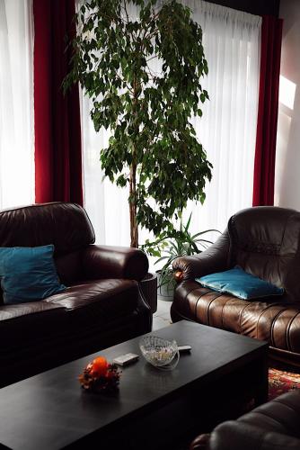 GP Hostel – Šiauliai, TX
