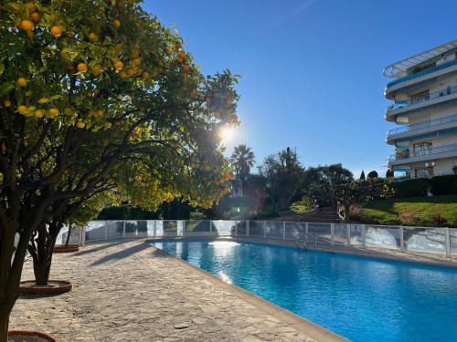 Swimming pool, L'Oranger d'Azur in Le Fournel