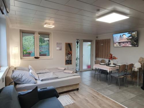 Sziklaszirt - Wellnes Vendégház, Salgótarján (fotografie 9)