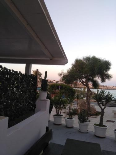 MiraMare 3