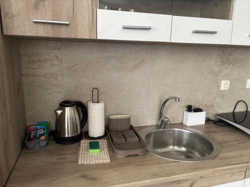 ヴェリコ・グラディシュテ Aria 3つ星 シングルルーム 施設