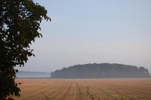 Allégården Kastlösa Hotell - image 6