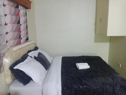 Lavish luxury loft in Meru