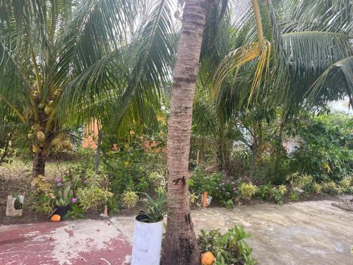 Jardin, Paradis des Palmiers 1 Gorgeous 2bedroom apartment in Potters Village