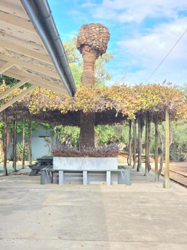 外部景觀, The Calitzdorp Station in 卡利茨多普