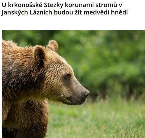 Černý Důl 241, Černý Důl (fotografie 3)