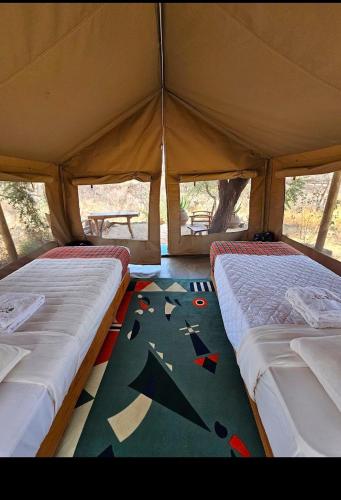 Samburu Tempo Camp Game Ride in Samburu National Park