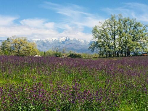 CR "El Arrabal" Valle de La Vera in 拉維拉新鎮