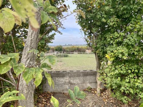 MegaPod 2 at Lee Wick Farm Cottages & Glamping, Clacton-on-Sea (foto 9)