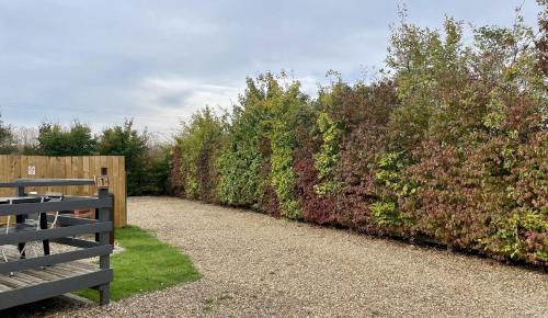 MegaPod 2 at Lee Wick Farm Cottages & Glamping, Clacton-on-Sea (foto 10)