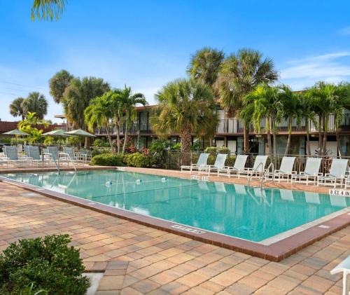 Magic Tree Resort - image 12