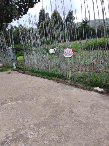 ทัศนียภาพภายนอกโรงแรม, A Soi Farm in นากูรู่
