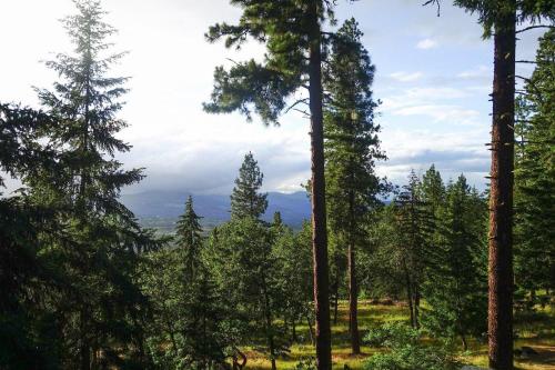 Fir Mtn-Rv/Mt View-HT-4BR/3.5B - image 12