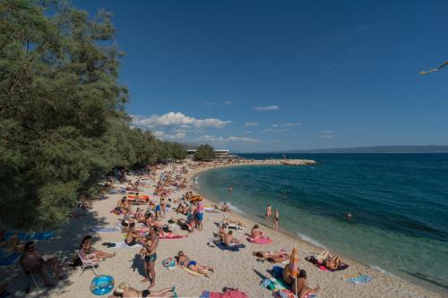 Luxury Rooms Near the Beach1, Split (photo 9)