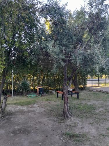 ANAY Hostel in Salto de las Rosas