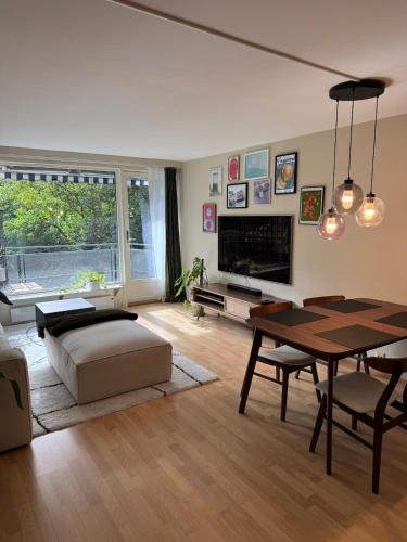 Large and cozy apartment - walking distance to everything, Oslo