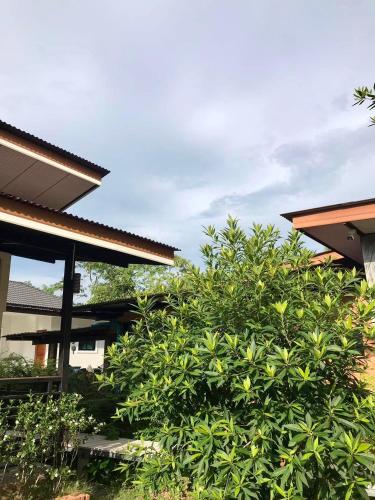Saipo Homestay - 전망