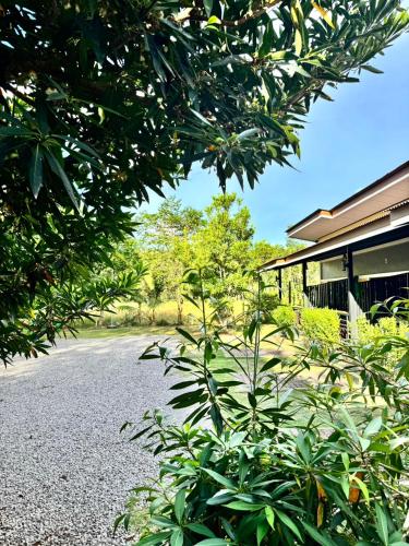 Saipo Homestay - 전망