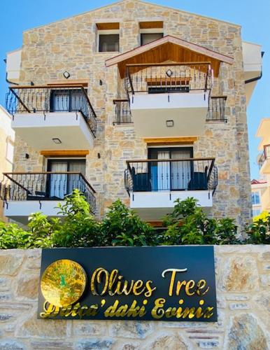 olives tree, Datça