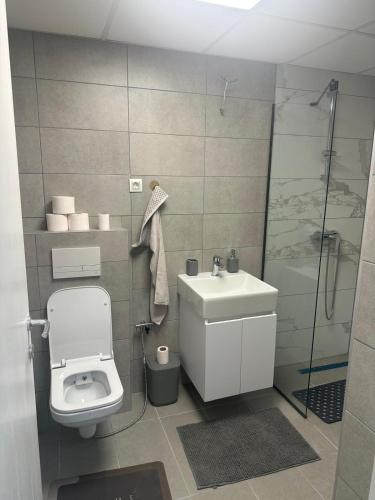 Cosmos apartment, Skopje (fotografie 2)