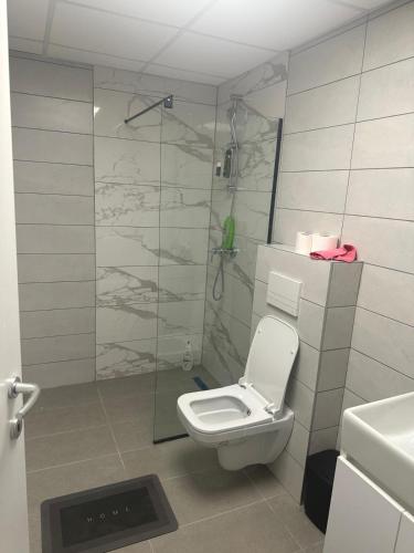 Cosmos apartment, Skopje (fotografie 10)