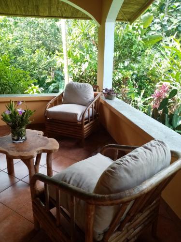 Enflor 1, Puerto Jiménez (foto 7)