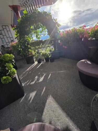 Apartment, everything close in Hamar