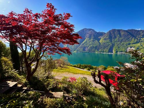 Panorama Lakeside Retreat Seelisberg in Seelisberg