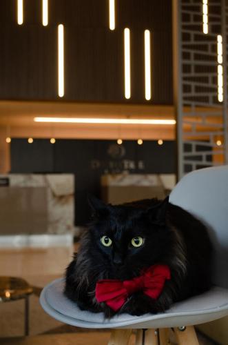 Hilton DoubleTree Bogotá Salitre AR