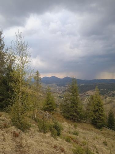 Подих Карпат in 沃洛相卡