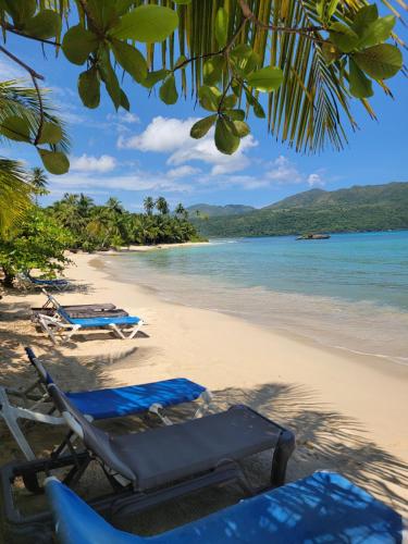 Hostel La Ballena Backpacker in Las Galeras