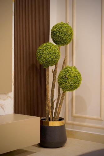 Downtown Signature Suites-Skyline - Margalla Views- Mall of Islamabad Blue Area F-7 - image 14