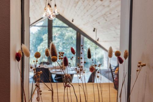 Les gîtes du Moulin castral gîte à louer Labia