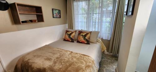 Casa de las Palmas 2