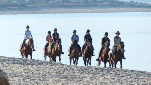 Maquis et plage