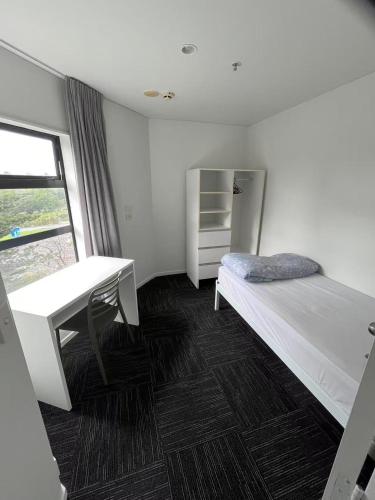 Princeton 30 Symonds Street, Auckland (photo 7)
