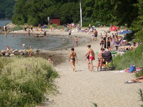 Nysted Strand Camping & Cottages - image 8
