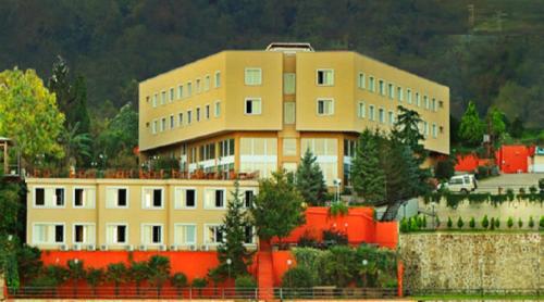 Baliktasi Hotel in Altınordu