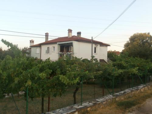  Apartment Gabi in Labin
