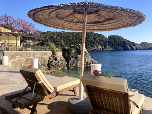 Thomas Beach Studios, Paleokastritsa